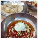 구포밀면 | 남포맛집 시원한 물비빔면과 만두 한상으로 즐기는 구포밀면