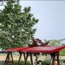 금릉초교병설유치원 이미지