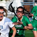 뉴욕치과 이미지