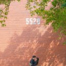 철수 | 몽글몽글 논스냅 용산공원 미군기지 커플 스냅 촬영 후기 철수와 영희