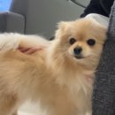 리가 플스방 이미지