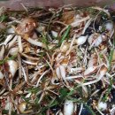 달래농장 이미지