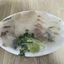 세꼬시회일번지