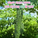 연세이내과의원 이미지