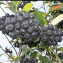 내유농장 이미지