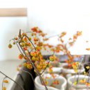 코지(COZY) 이미지