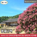 평화의숨결 | (충남 논산) 선비의 숨결 머문 집, 명재고택에서 걷는 고즈넉한 시간