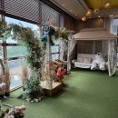 씨앤비치 이미지