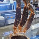 농수산물도매시장 이미지