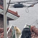 벨몽드 마트 효자점