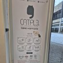 캣플헤븐 AK플라자금정점 | 캣플헤븐 AK플라자 금정점 방문후기