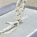 (주)미래시안 이미지