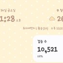 정향채의 하루