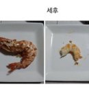 맛있는세상 이미지