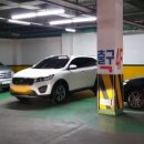 로얄 스포츠 이미지