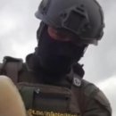 총알돼지 이미지