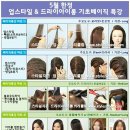 스타일베이직 이미지