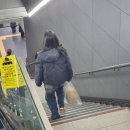 11500-13-26-105 | 26년 2월 결산(*사진 많음 글 많음 주의)