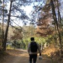 삼정약수터 이미지