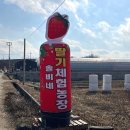 솔비 농장 이미지