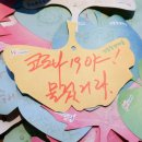 써니7080라이브 이미지