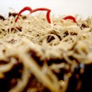 손톱예술 이미지