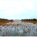 능제근린공원 이미지