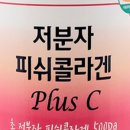 피부미인플러스