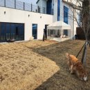 스테이 뭉구 이미지