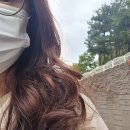 머리, 합니다 네이버블로그