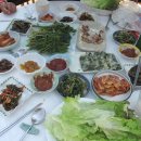 하운농장 Daum카페