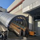 맛보래이 이미지