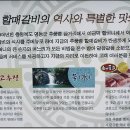 할매갈비 이미지