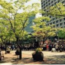 덕수궁길 이미지