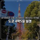 해리넷 | 도쿄 4박 5일 자유여행 코스 총정리 | 우에노 숙소, 아키하바라, 후지산, 해리포터, 하라주쿠