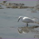 태인초등학교 이미지