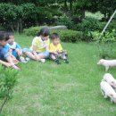 봉영축산유통