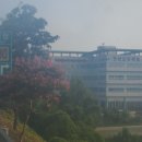 구마주유소 이미지