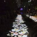 종촌동 제천뜰 근린공원