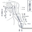 구 수 궐음 심포경 유주 술시 手厥陰心包經流注 戌時 *심장 이미지
