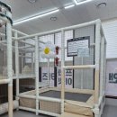 감일고등학교 | 키즈앤룸 감일점 재밌게 놀고 온 후기