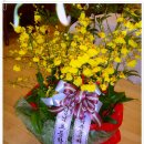 청석초등학교 이미지