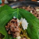 용궁노래연습장 이미지