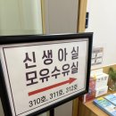 메종포레산후조리원(주) | 제주 메종포레 산후조리원: 내돈내산 13박 14일 일반실 이용후기 / 내부시설 비용 식사 프로그램