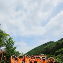 열정태권도장 이미지