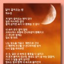 달이 걸어오는 밤 - 허수경 이미지