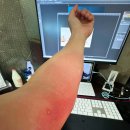 연세프라미스마취통증의학과의원 이미지