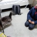 니뽄침몰 이미지