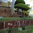 대기초등학교 이미지