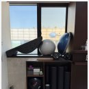 짐앤줌바 이미지